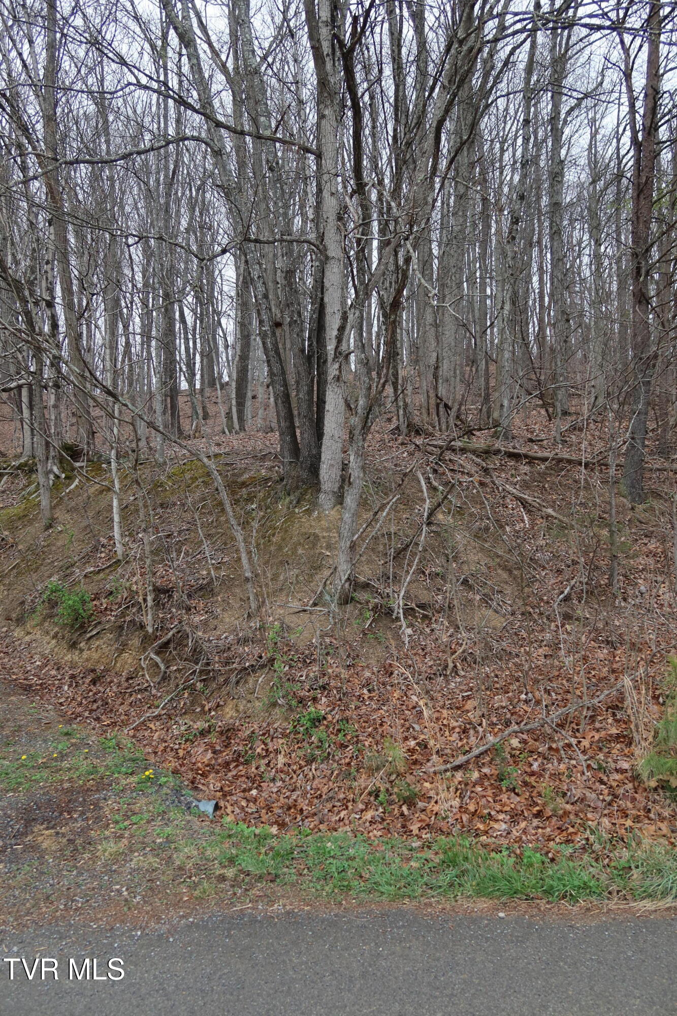 Tbd Possum Hollow Road, Unit 5 Johnson City, TN 37615 - Photo 7 of 8 IMG_8413