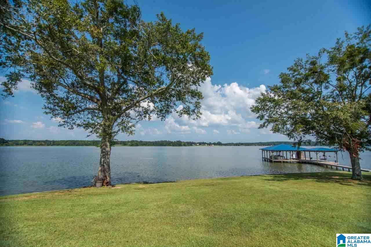 11 Seddon Point Pell City, AL 35128 - Photo 44 of 50