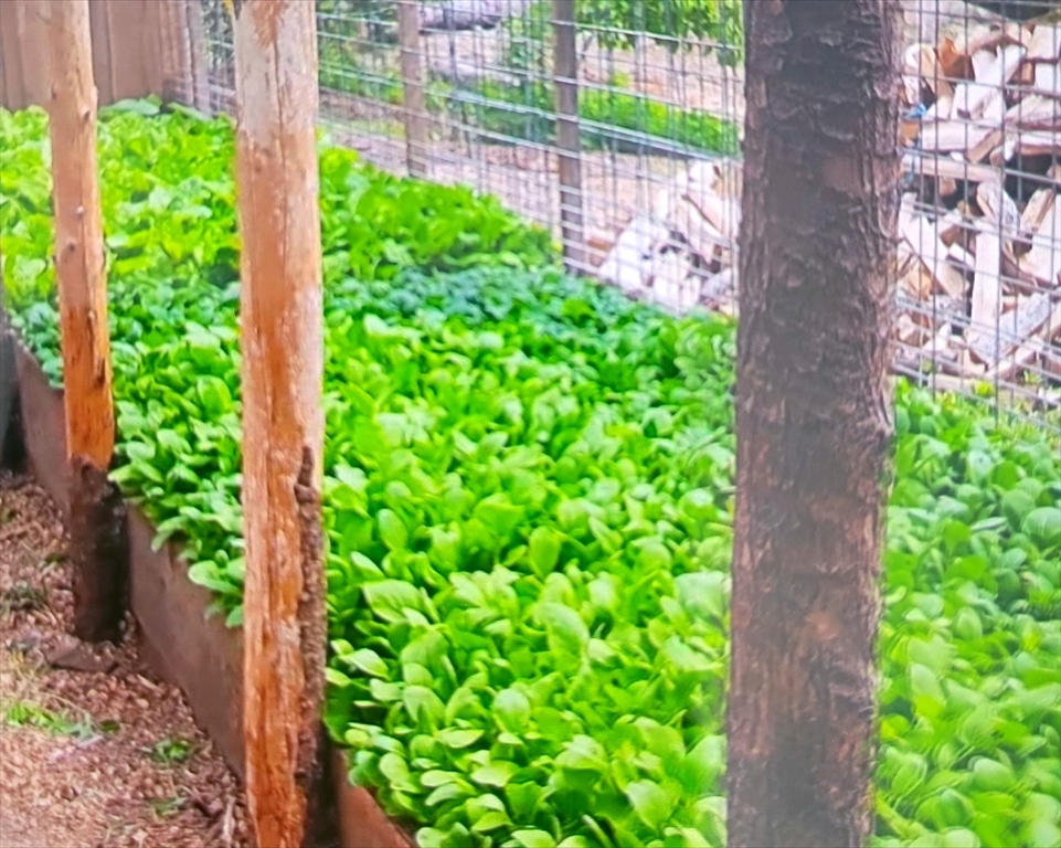 463 Holtshire Road Orange, MA 01364 - Photo 12 of 16