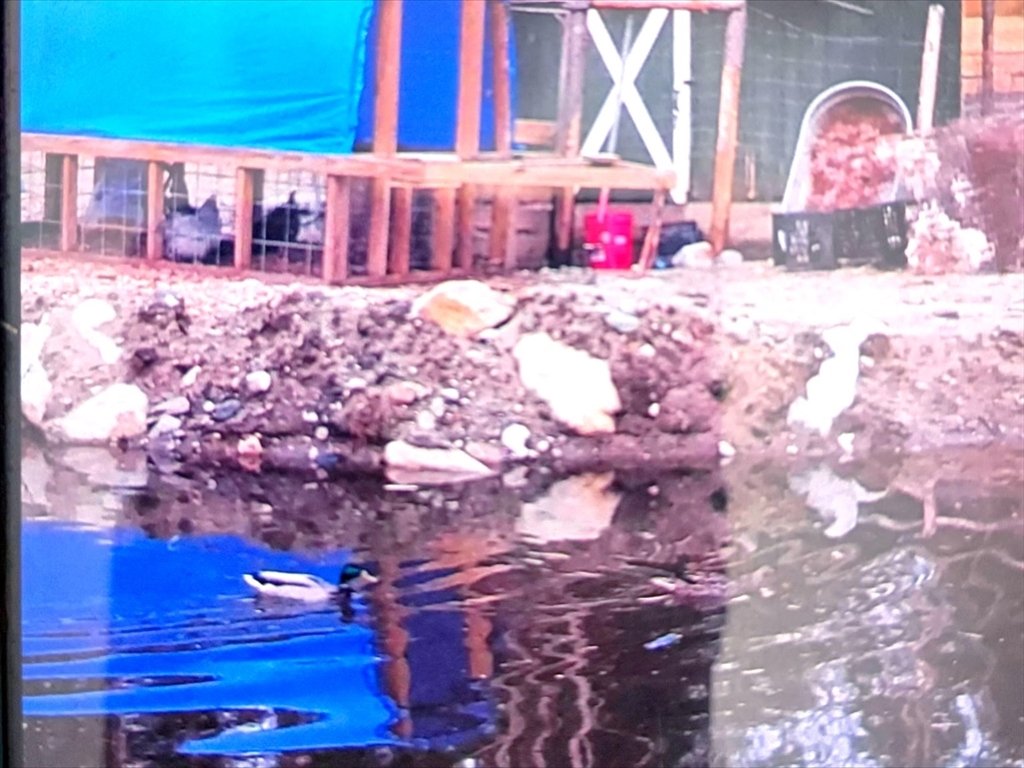 463 Holtshire Road Orange, MA 01364 - Photo 14 of 16