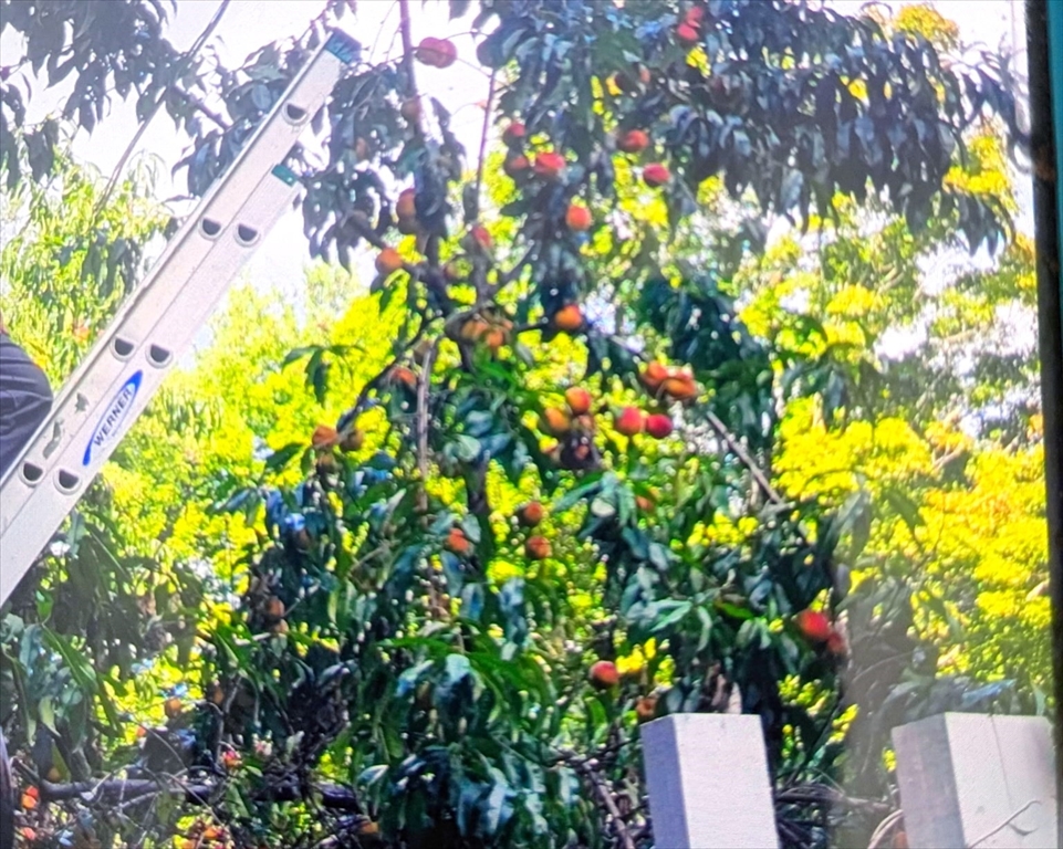 463 Holtshire Road Orange, MA 01364 - Photo 16 of 16