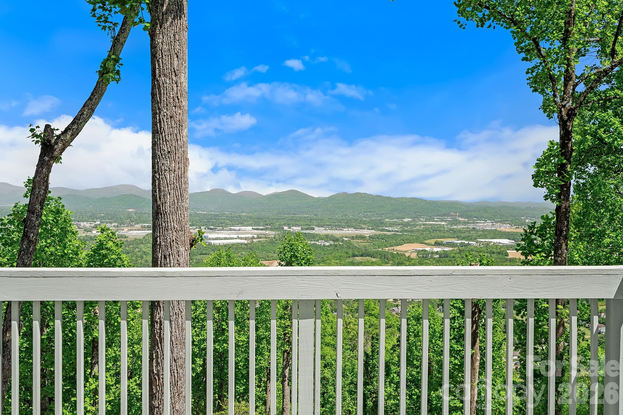 115 Chestnut Ridge Road Mills River, NC 28759 - Photo 2 of 48