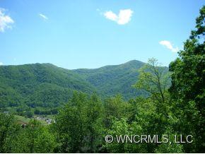 45 Rons Ridge Waynesville, NC 28785 - Photo 3 of 12