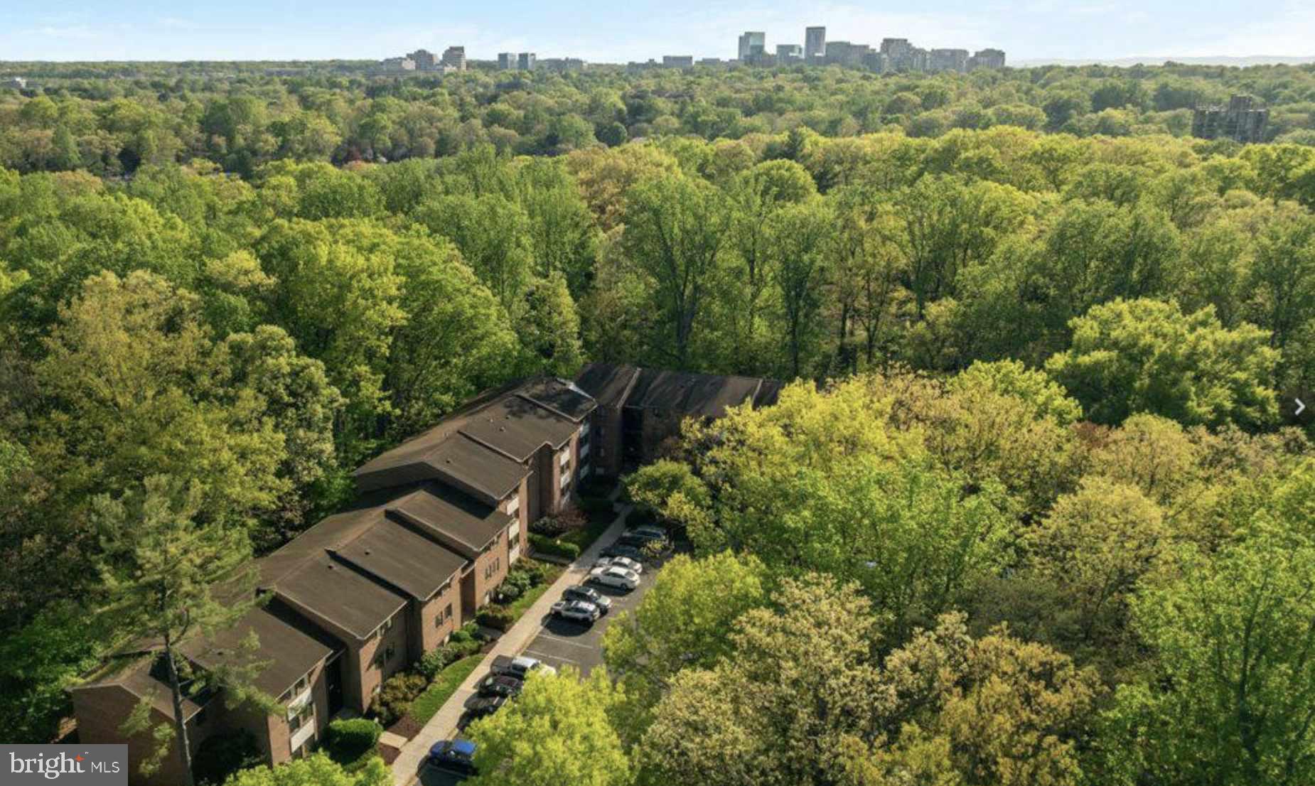 1534 Northgate Square, Unit 11C Reston, VA 20190 - Photo 17 of 37 Serene suburban retreat amidst greenery.