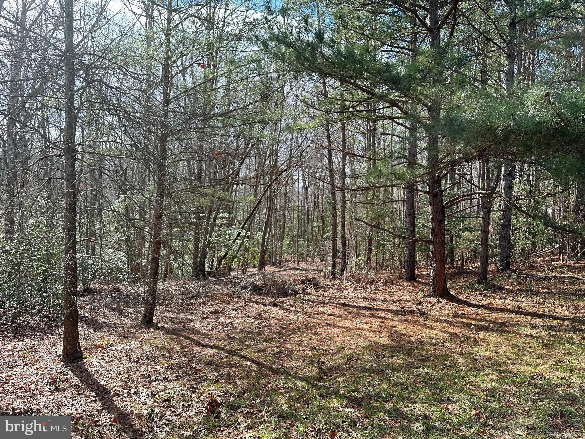 12830 H G Trueman Road Solomons, MD 20629 - Photo 2 of 4 Gallery Image 2