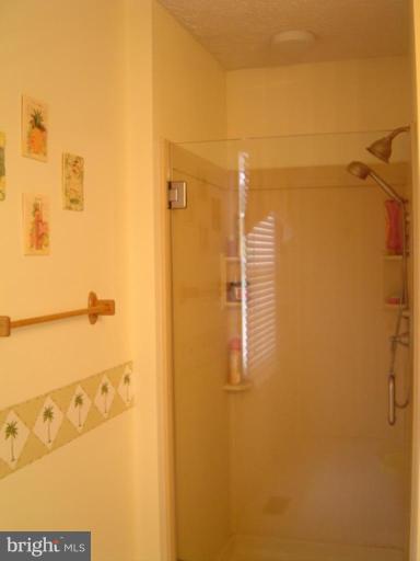 426 Rambler Road Bel Air, MD 21015 - Photo 20 of 28 Master Bath #2