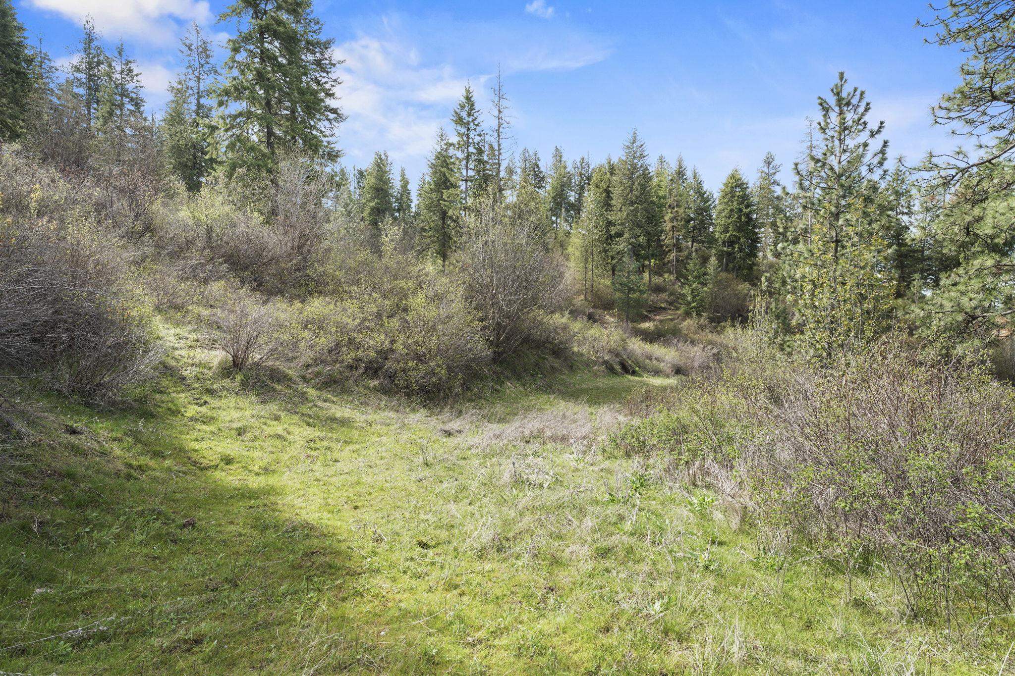 North Rockspring Lane Mead, WA 99021 - Photo 11 of 39 Gallery Image 11