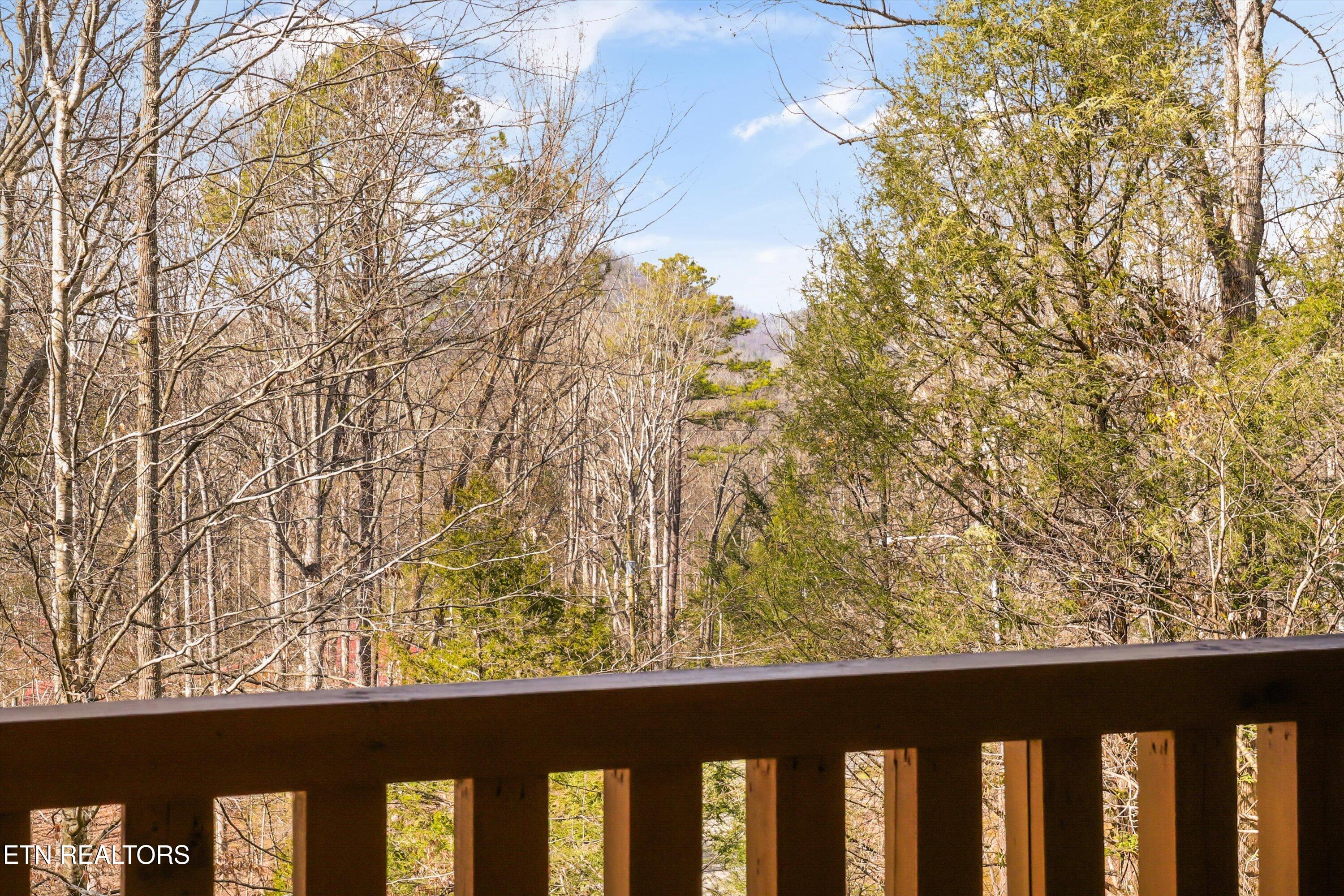 503 Domar Court Townsend, TN 37882 - Photo 36 of 53 36-503 Domar Ct 27