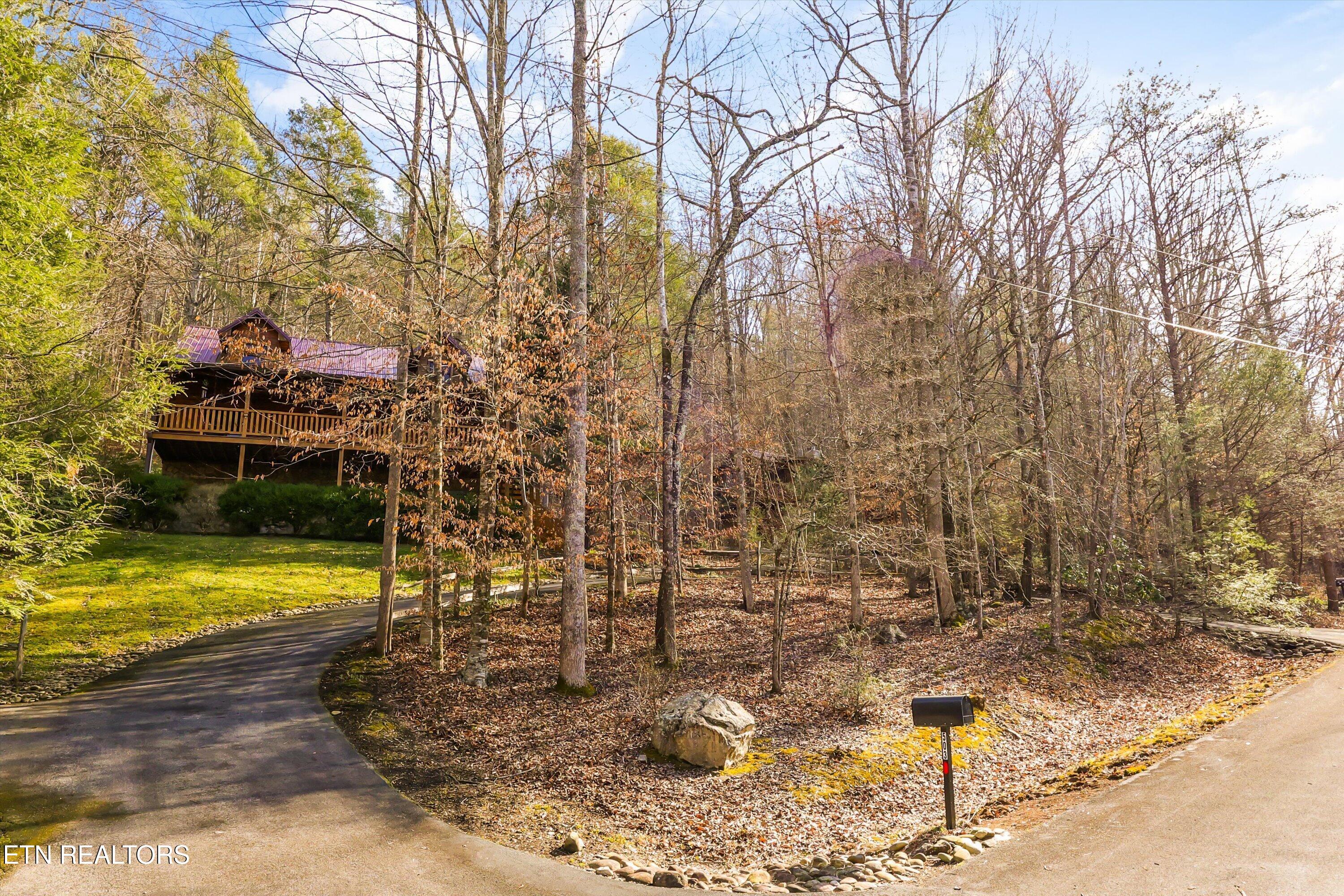 503 Domar Court Townsend, TN 37882 - Photo 44 of 53 44-503 Domar Ct 46
