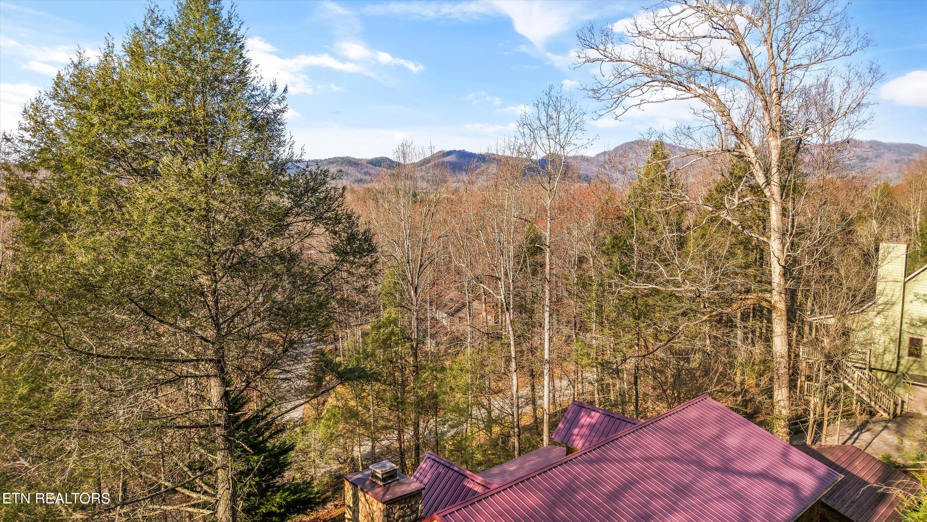 503 Domar Court Townsend, TN 37882 - Photo 47 of 53 47-503 Domar Ct 40