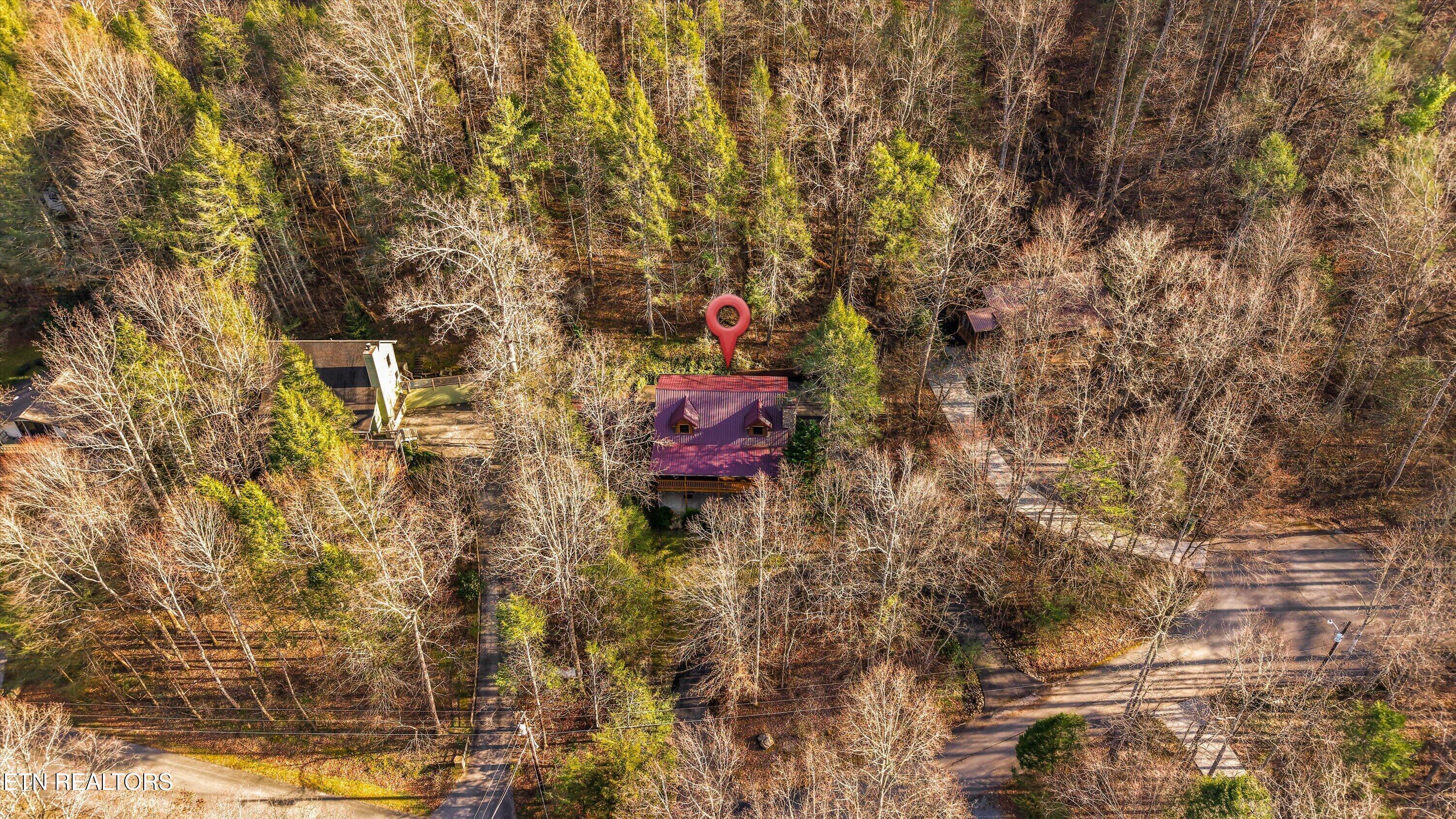 503 Domar Court Townsend, TN 37882 - Photo 48 of 53 48-503 Domar Ct 41