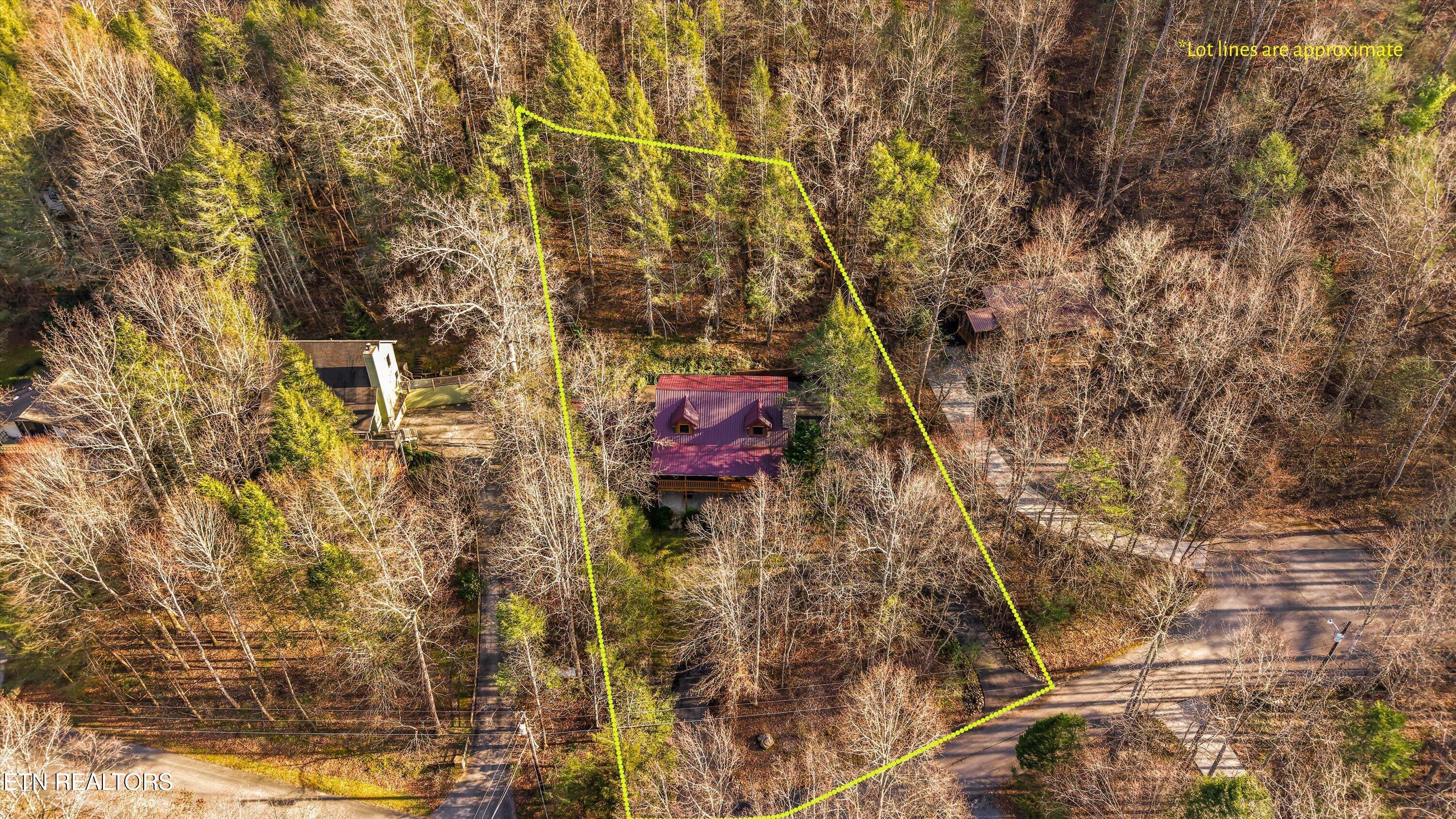 503 Domar Court Townsend, TN 37882 - Photo 49 of 53 49-503 Domar Ct 41