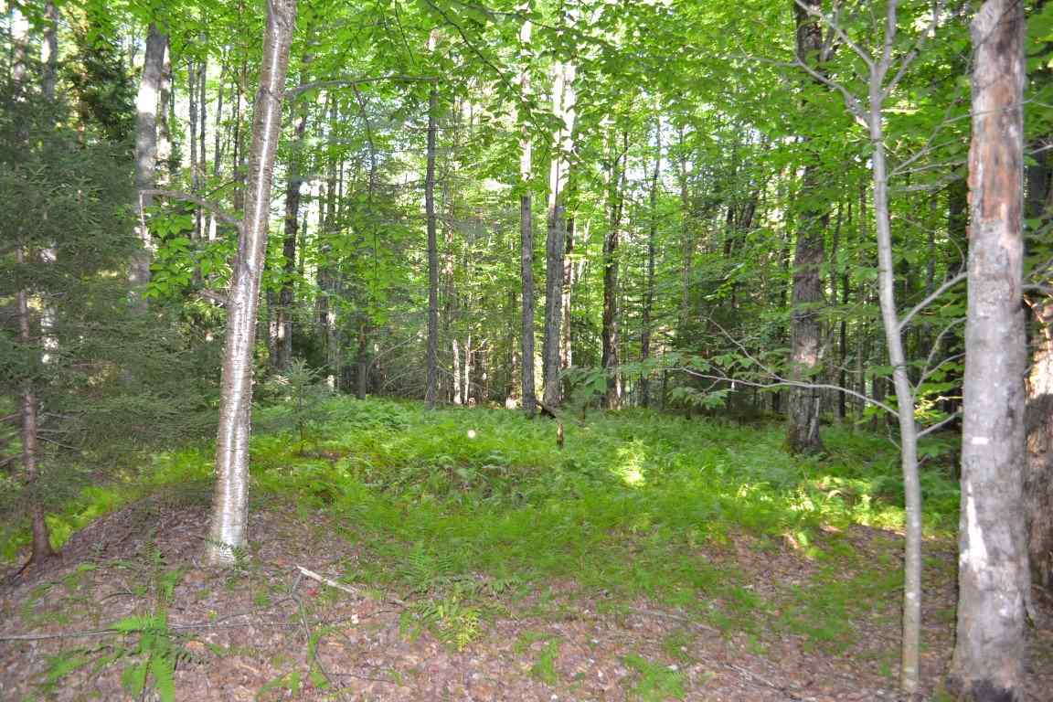 0 Brook Road, Unit 4 Middlesex, VT 05602 - Photo 1 of 10