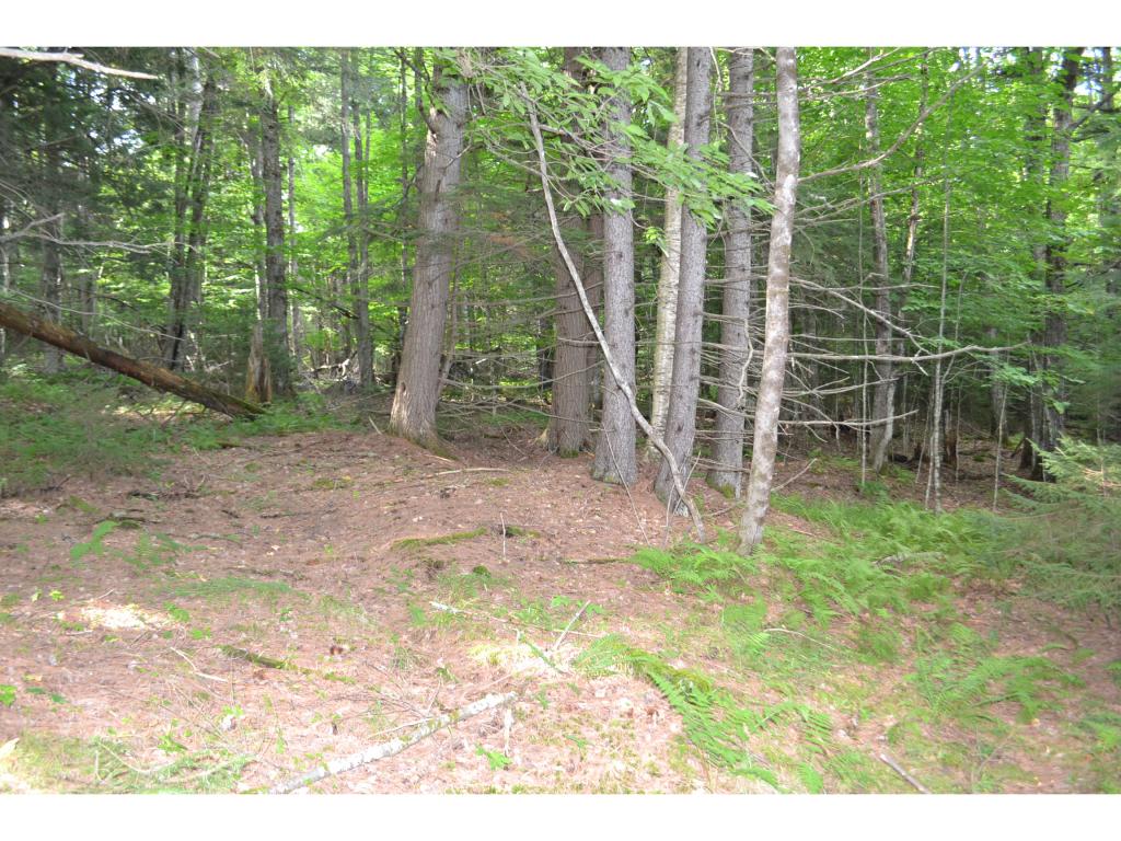 0 Brook Road, Unit 4 Middlesex, VT 05602 - Photo 3 of 10