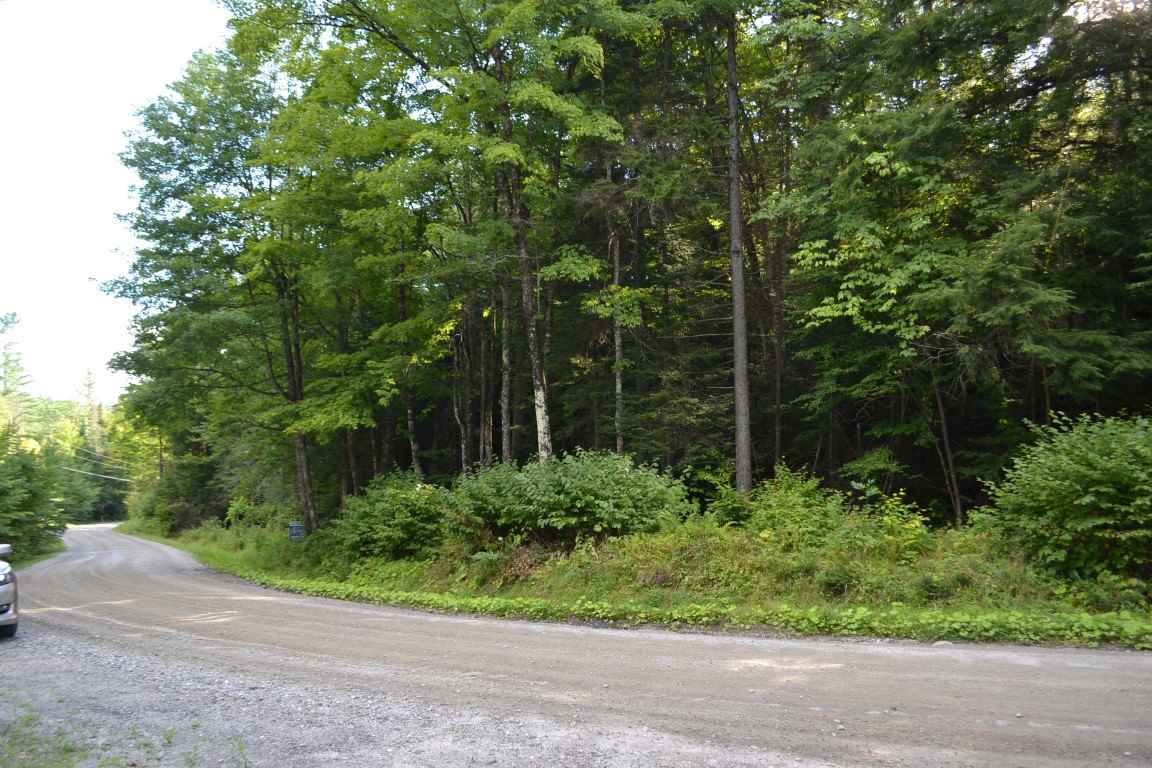 0 Brook Road, Unit 4 Middlesex, VT 05602 - Photo 4 of 10