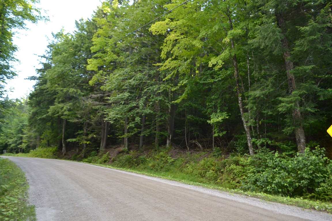 0 Brook Road, Unit 4 Middlesex, VT 05602 - Photo 5 of 10