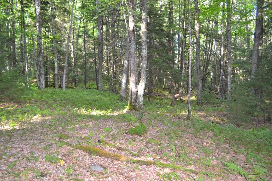 0 Brook Road, Unit 4 Middlesex, VT 05602 - Photo 6 of 10