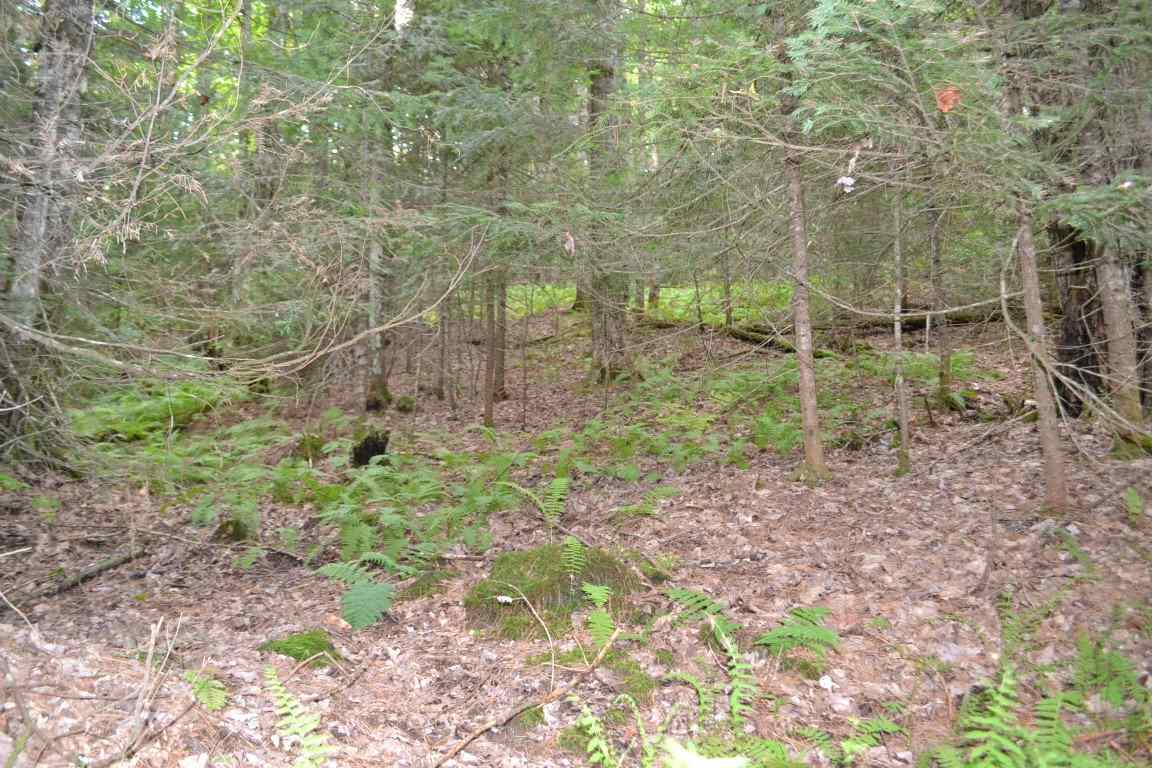 0 Brook Road, Unit 4 Middlesex, VT 05602 - Photo 7 of 10