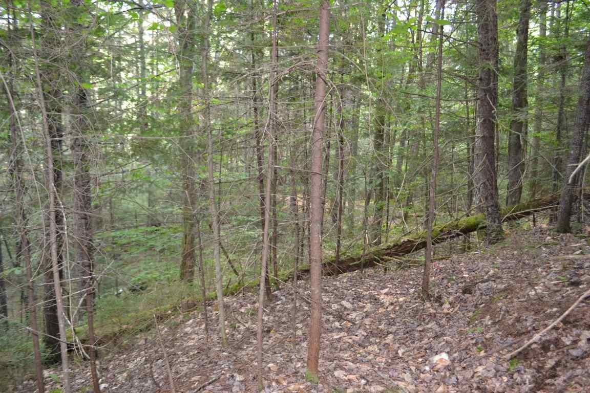 0 Brook Road, Unit 4 Middlesex, VT 05602 - Photo 8 of 10