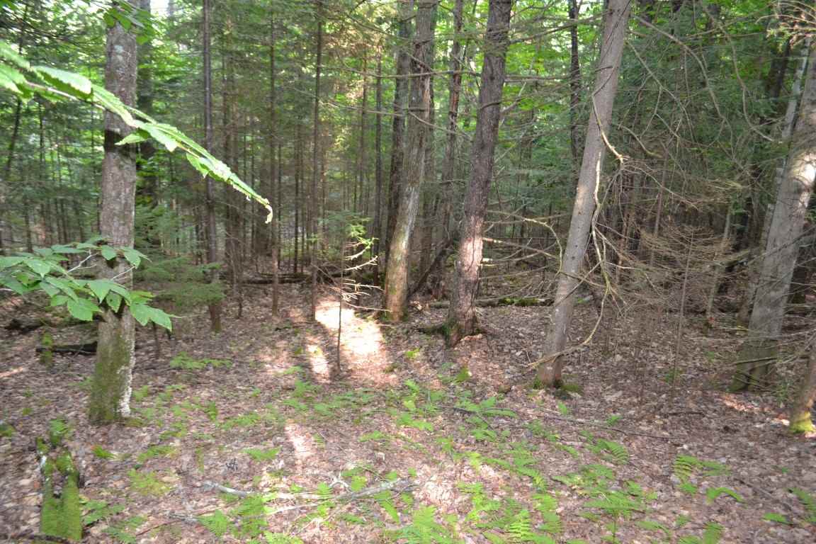 0 Brook Road, Unit 4 Middlesex, VT 05602 - Photo 9 of 10