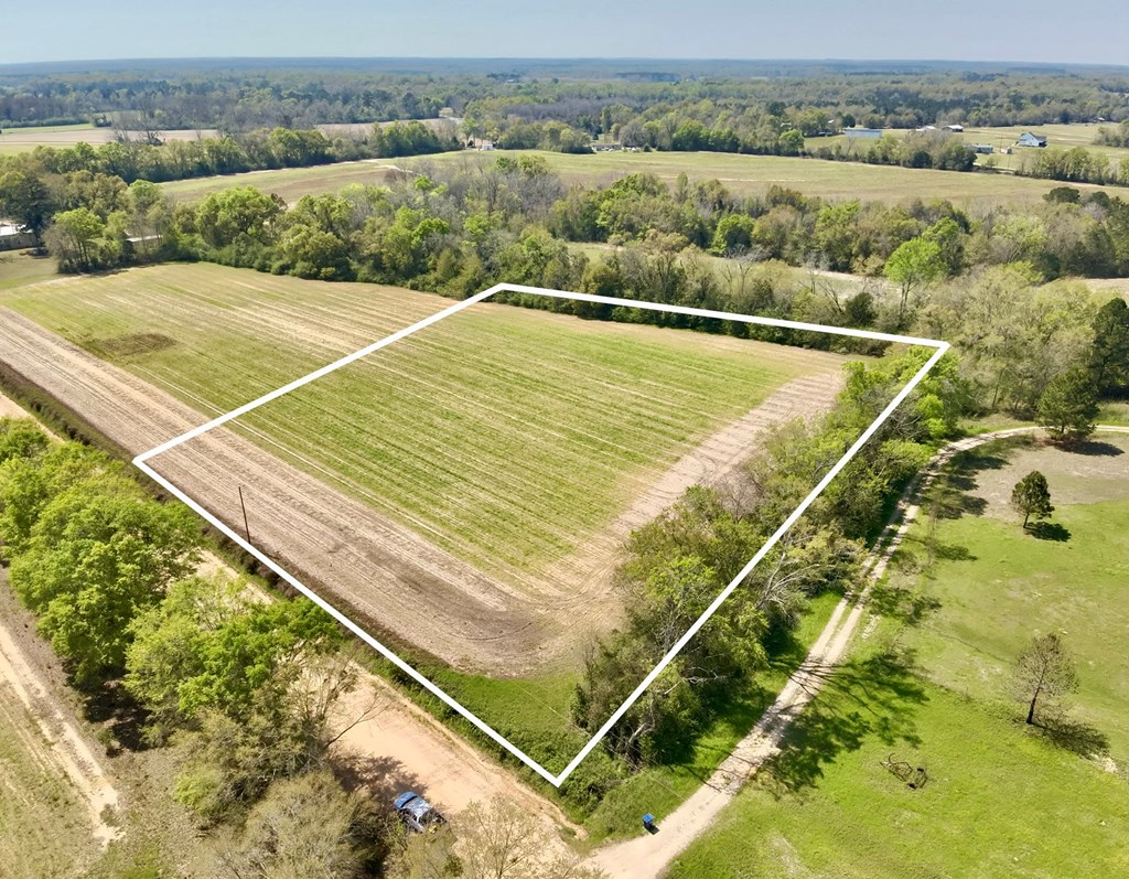 4-acres Dillard Road Pansey, AL 36370 - Photo 8 of 8