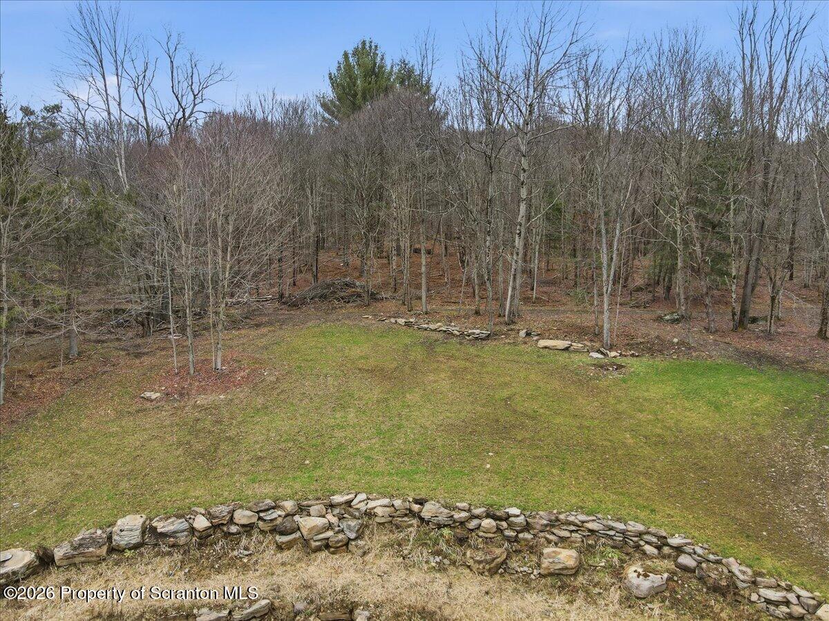 232 Starrucca Creek Road Starrucca, PA 18462 - Photo 3 of 64 Yard