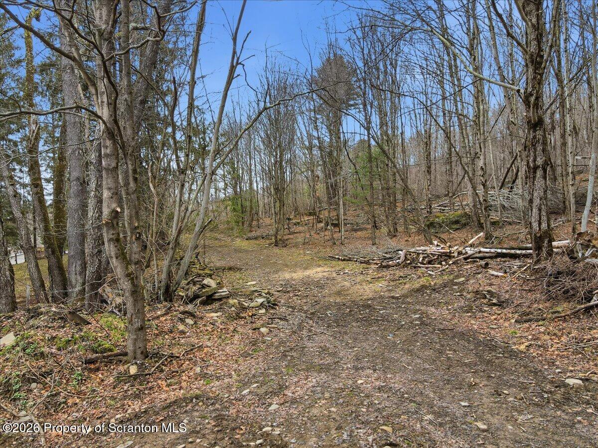 232 Starrucca Creek Road Starrucca, PA 18462 - Photo 62 of 64 Property