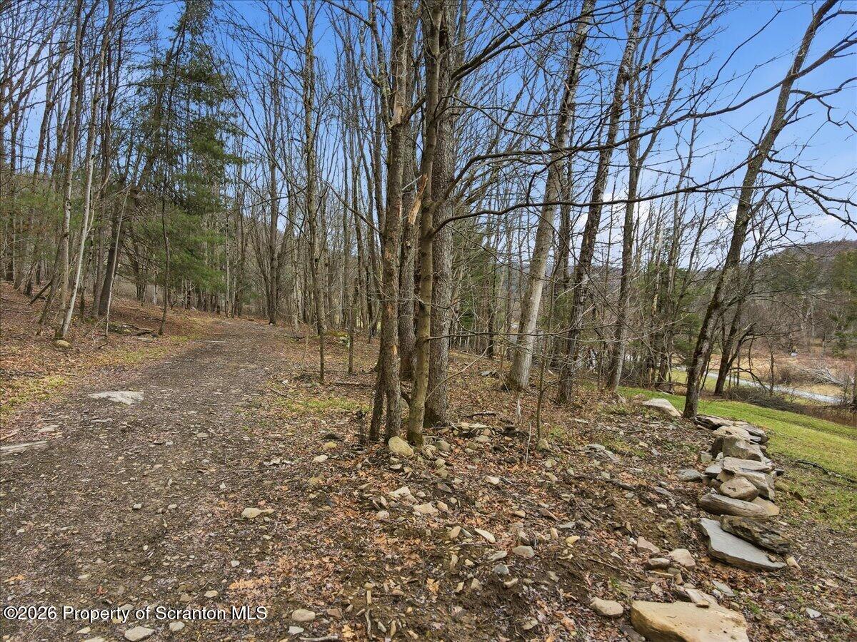 232 Starrucca Creek Road Starrucca, PA 18462 - Photo 63 of 64 a backyard of a house with lots of green space