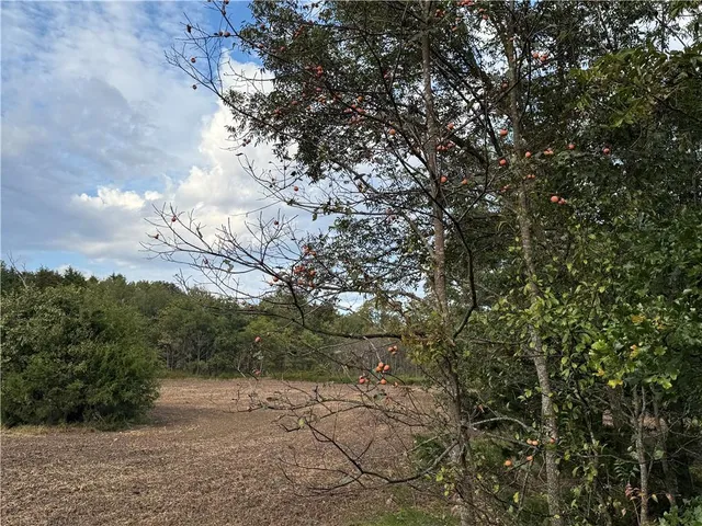 $606,300 | Bronco Road, Sedan, KS 67361