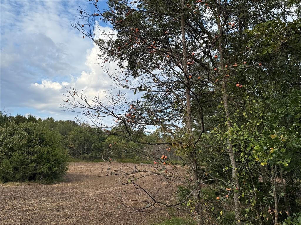 Bronco Road Sedan, KS 67361 - Photo 49 of 72
