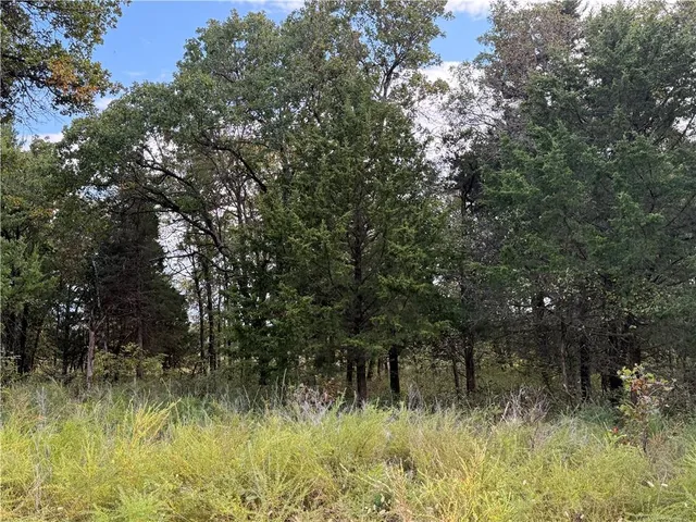 $606,300 | Bronco Road, Sedan, KS 67361