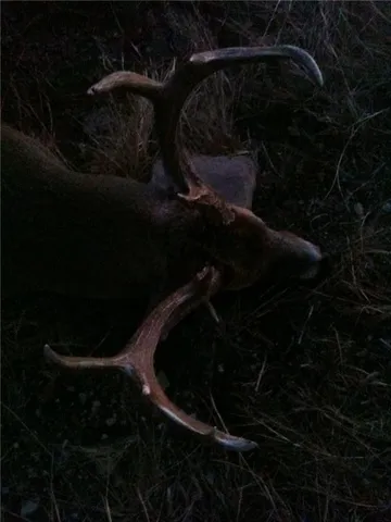 $606,300 | Bronco Road, Sedan, KS 67361