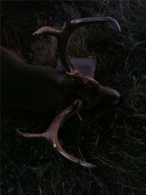 Bronco Road Sedan, KS 67361 - Photo 68 of 72