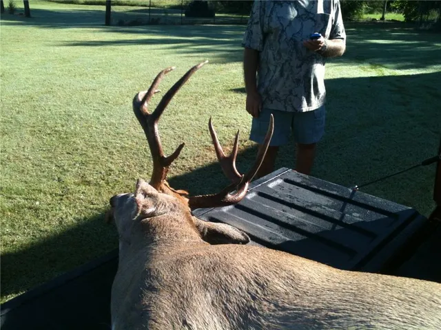 $606,300 | Bronco Road, Sedan, KS 67361