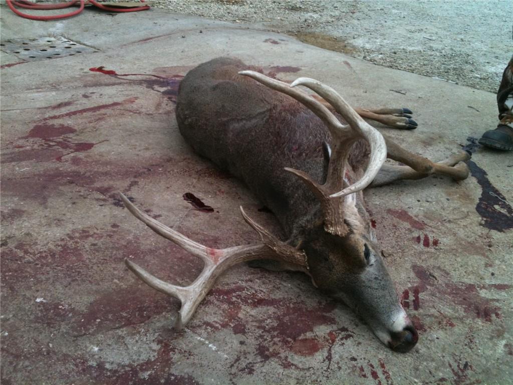 Bronco Road Sedan, KS 67361 - Photo 71 of 72