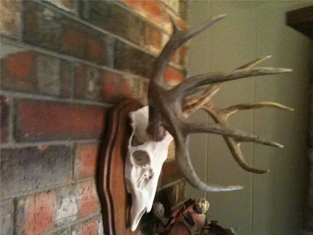 $606,300 | Bronco Road, Sedan, KS 67361