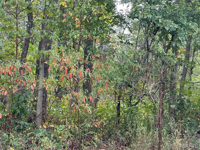 $240,000 | Tbd Donnell Avenue, Sorento, IL 62086