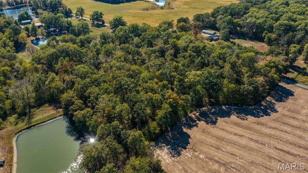 Tbd Donnell Avenue Sorento, IL 62086 - Photo 6 of 12