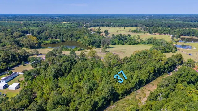 a view of lake with mountain