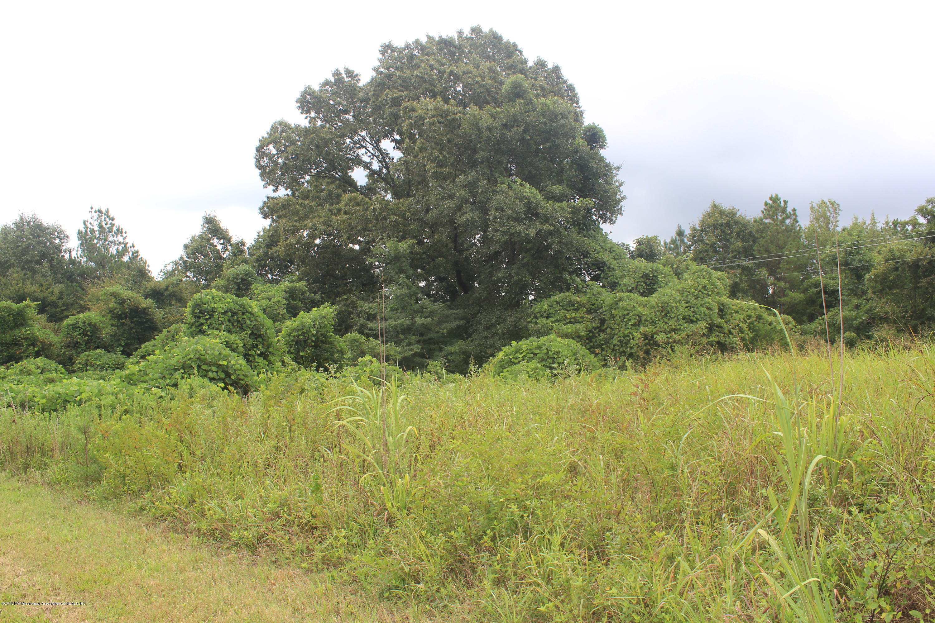 20 Wheeler Road Hernando, MS 38632 - Photo 15 of 19 015