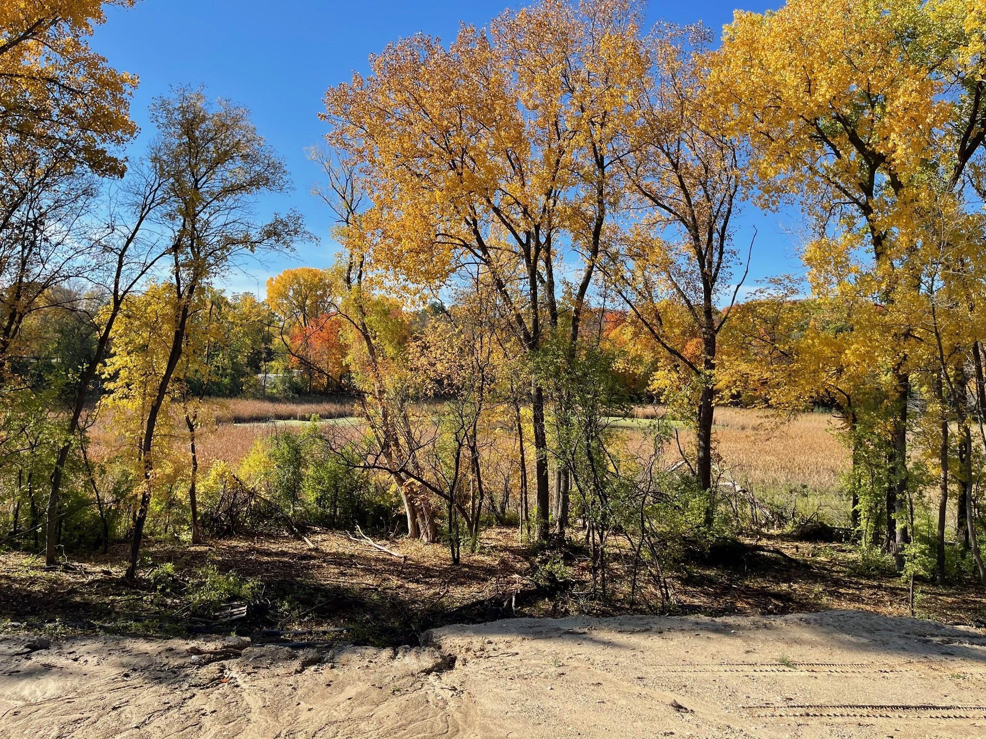 20472 Radisson Road Shorewood, MN 55331 - Photo 32 of 34