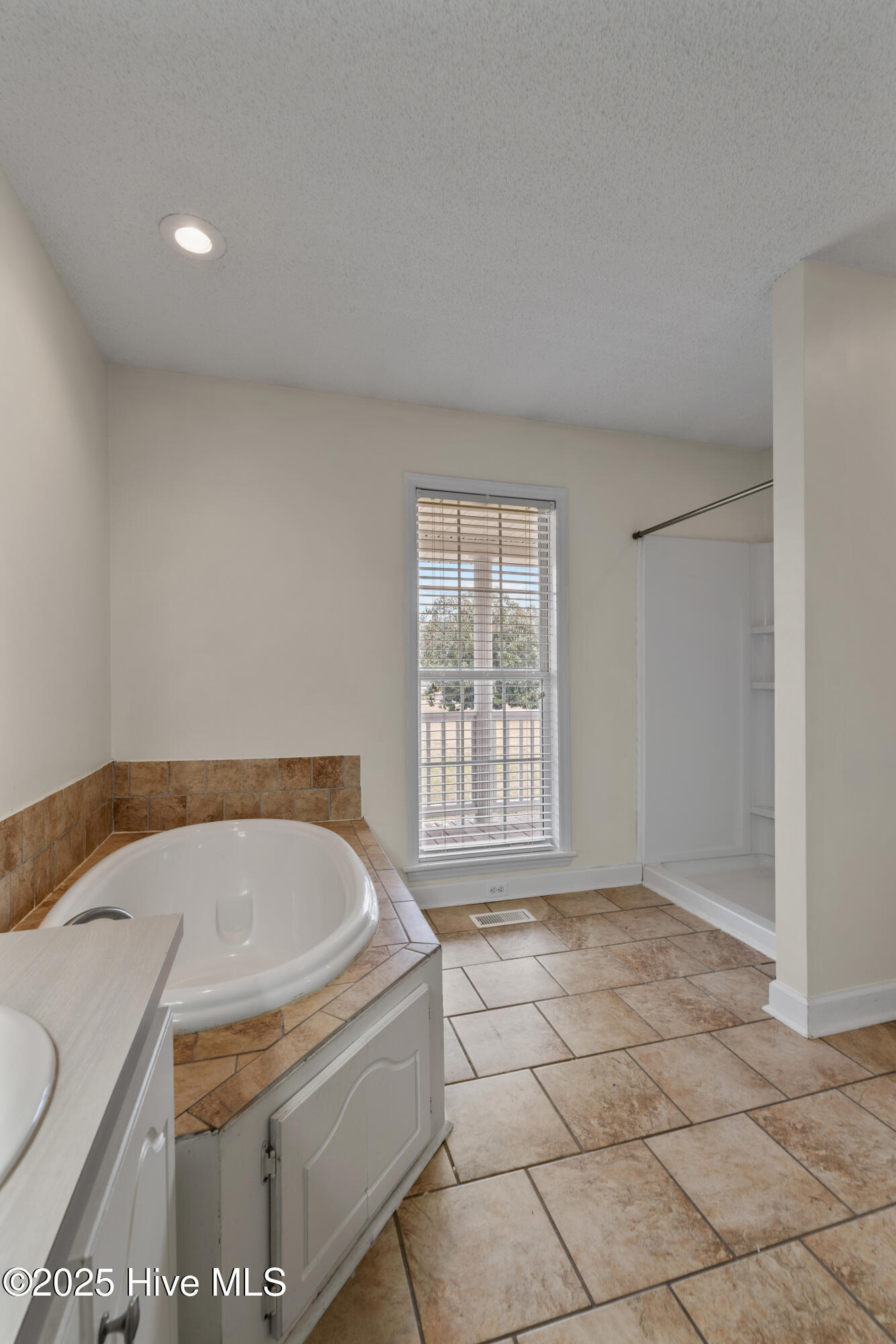 1177 Capps Bridge Road Pikeville, NC 27863 - Photo 23 of 41 Primary Bathroom