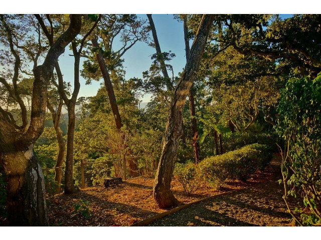 139 Littlefield Road Monterey, CA 93940 - Photo 15 of 18 a view of outdoor space and yard