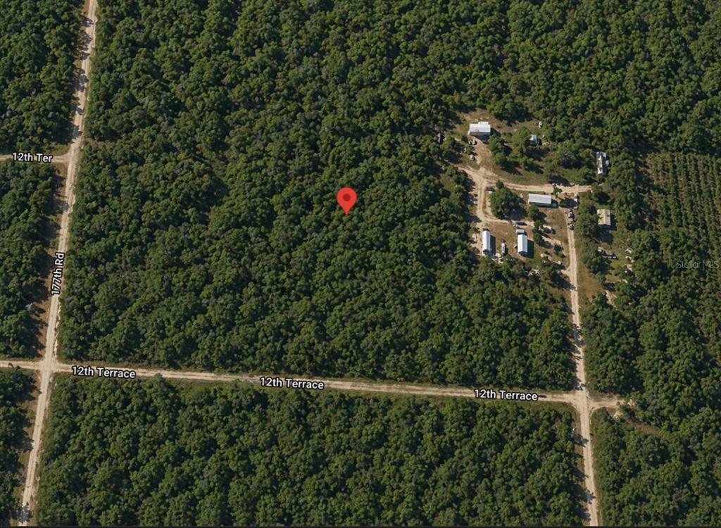 Unassigned 177th Road Live Oak, FL 32060 - Photo 2 of 2