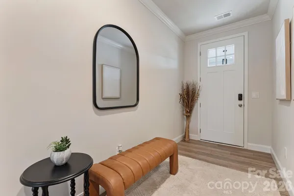 a room with a couch and potted plant