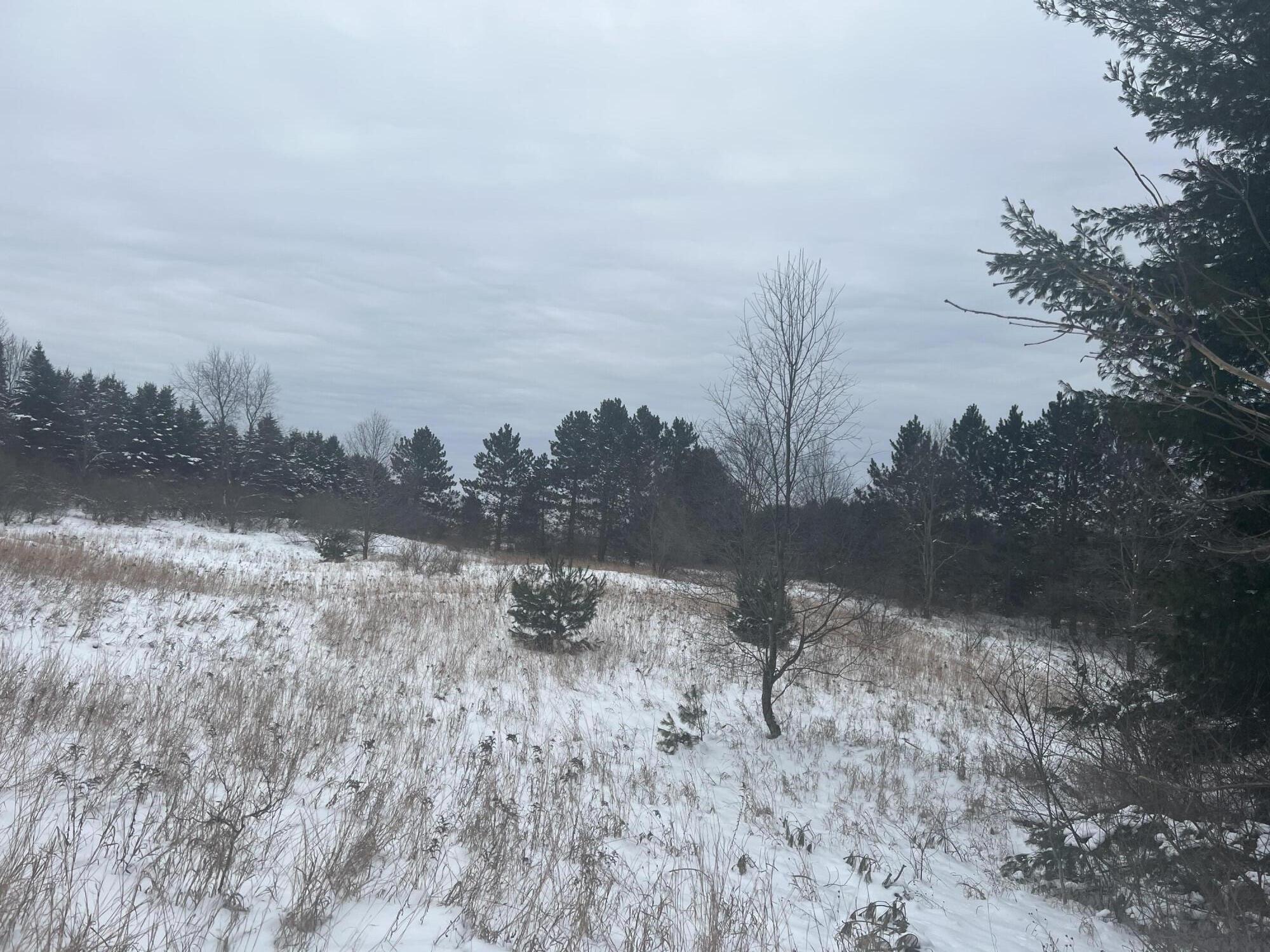 7661 Inman Road Southwest Fife Lake, MI 49633 - Photo 17 of 19 Gallery Image 17