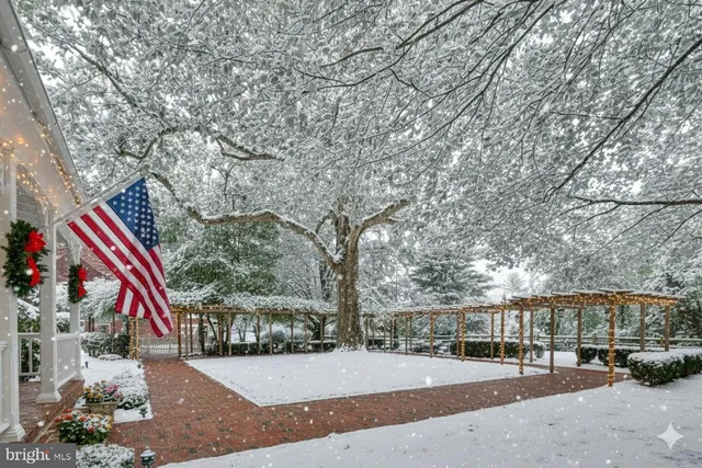 a view of a park with pathway