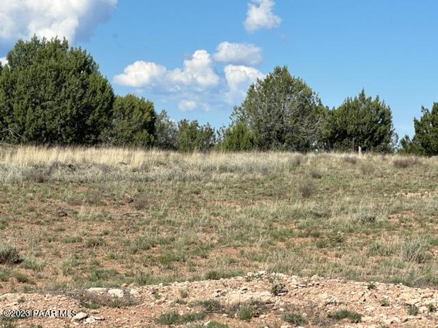 58- Prairie Dog Road Ash Fork, AZ 86320 - Photo 4 of 10 IMG_5249