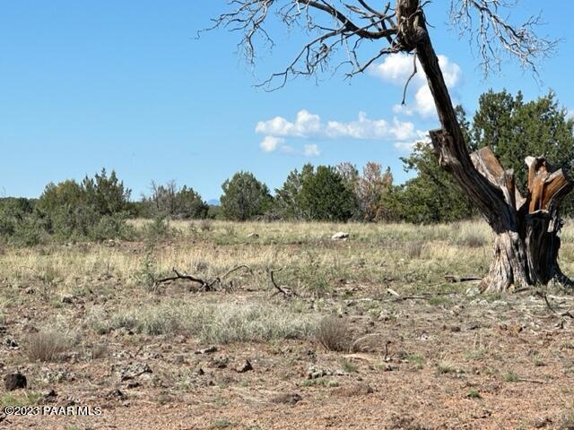 58- Prairie Dog Road Ash Fork, AZ 86320 - Photo 5 of 10 IMG_5250