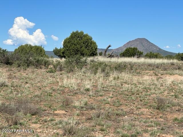 58- Prairie Dog Road Ash Fork, AZ 86320 - Photo 8 of 10 IMG_5285